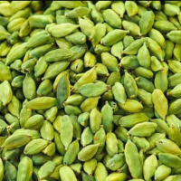 Natural Best Quality Fresh Green Cardamom Elachi Spice for Wholesale Green Cardamom Dry Best Cardamom Price Spices